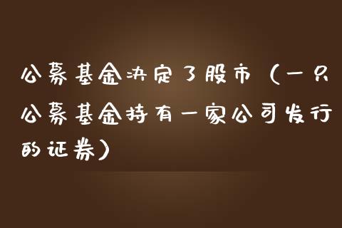 公募基金决定了股市（一只公募基金持有一家公司发行的证券）_https://www.kuaijiepai.net_期货理财_第1张