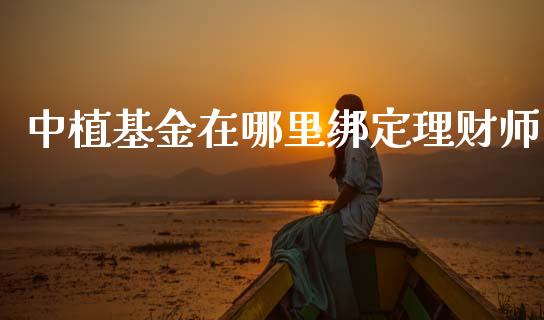 中植基金在哪里绑定理财师_https://www.kuaijiepai.net_投资理财_第1张