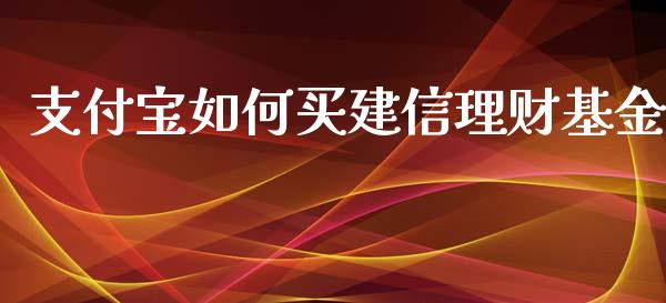 支付宝如何买建信理财基金_https://www.kuaijiepai.net_投资理财_第1张