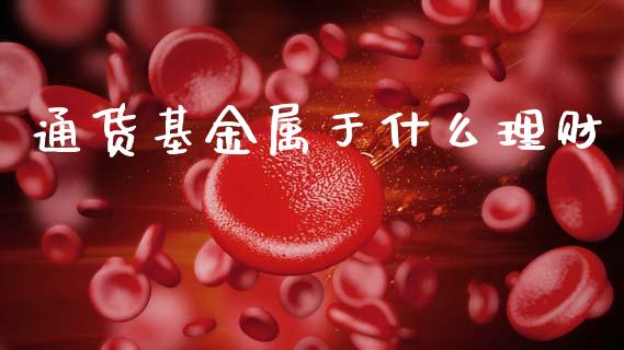 通货基金属于什么理财_https://www.kuaijiepai.net_期货理财_第1张