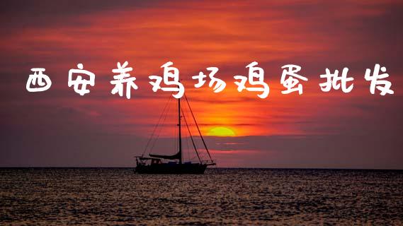西安养鸡场鸡蛋批发_https://www.kuaijiepai.net_期货资讯_第1张