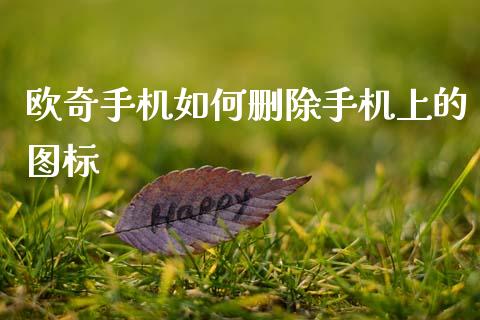 欧奇手机如何删除手机上的图标_https://www.kuaijiepai.net_投资理财_第1张
