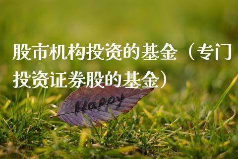 股市机构投资的基金（专门投资证券股的基金）_https://www.kuaijiepai.net_期货理财_第1张