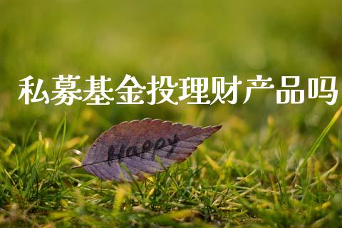 私募基金投理财产品吗_https://www.kuaijiepai.net_期货理财_第1张