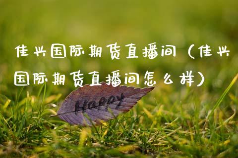 佳兴国际期货直播间（佳兴国际期货直播间怎么样）_https://www.kuaijiepai.net_期货在线_第1张