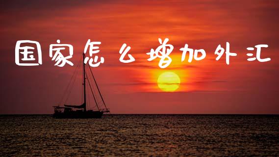 国家怎么增加外汇_https://www.kuaijiepai.net_期货理财_第1张