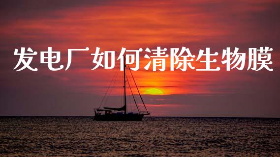发电厂如何清除生物膜_https://www.kuaijiepai.net_新股新闻_第1张