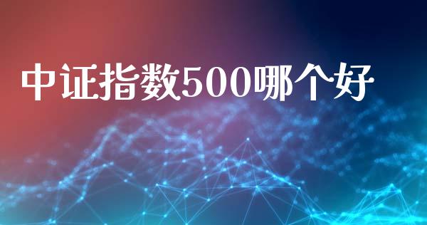 中证指数500哪个好_https://www.kuaijiepai.net_期货资讯_第1张