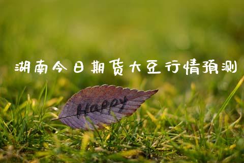 湖南今日期货大豆行情预测_https://www.kuaijiepai.net_国际期货_第1张