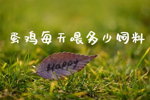 蛋鸡每天喂多少饲料_https://www.kuaijiepai.net_期货资讯_第1张
