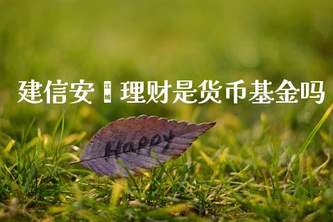 建信安鑫理财是货币基金吗_https://www.kuaijiepai.net_期货理财_第1张