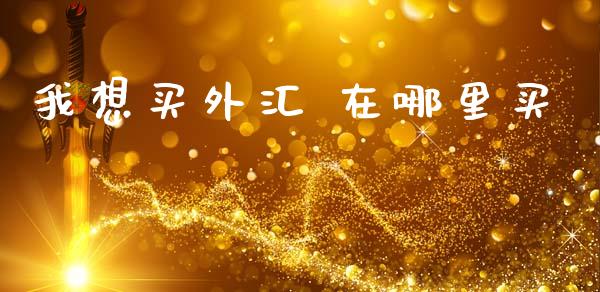 我想买外汇 在哪里买_https://www.kuaijiepai.net_期货理财_第1张