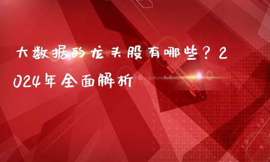 大数据的龙头股有哪些？2024年全面解析_https://www.kuaijiepai.net_国际期货_第1张