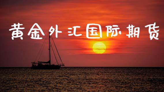 黄金外汇国际期货_https://www.kuaijiepai.net_国际期货_第1张