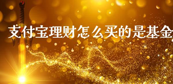 支付宝理财怎么买的是基金_https://www.kuaijiepai.net_期货理财_第1张