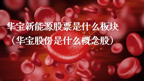 华宝新能源股票是什么板块（华宝股份是什么概念股）_https://www.kuaijiepai.net_股票理论_第1张