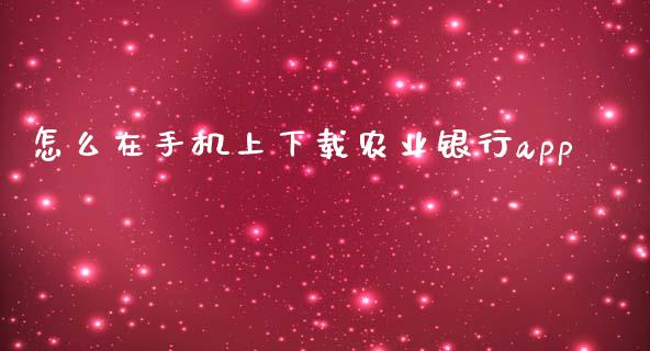 怎么在手机上下载农业银行app_https://www.kuaijiepai.net_投资理财_第1张