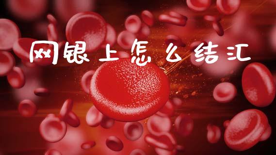 网银上怎么结汇_https://www.kuaijiepai.net_期货资讯_第1张