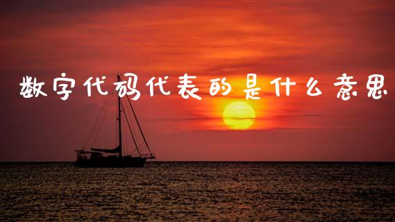 数字代码代表的是什么意思_https://www.kuaijiepai.net_新股新闻_第1张