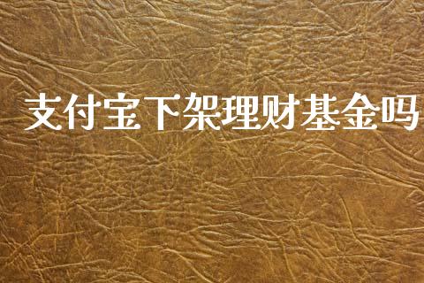 支付宝下架理财基金吗_https://www.kuaijiepai.net_期货理财_第1张