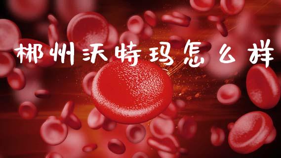 郴州沃特玛怎么样_https://www.kuaijiepai.net_期货资讯_第1张
