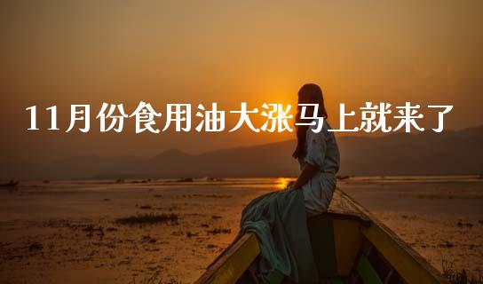11月份食用油大涨马上就来了_https://www.kuaijiepai.net_期货在线_第1张