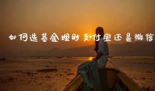 如何选基金理财支付宝还是微信_https://www.kuaijiepai.net_投资理财_第1张