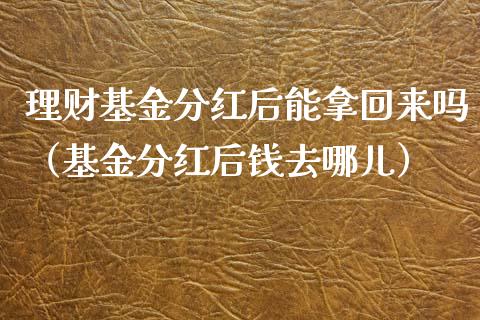 理财基金分红后能拿回来吗（基金分红后钱去哪儿）_https://www.kuaijiepai.net_投资理财_第1张
