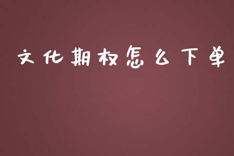 文化期权怎么下单_https://www.kuaijiepai.net_新股新闻_第1张