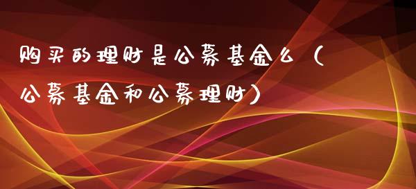 购买的理财是公募基金么（公募基金和公募理财）_https://www.kuaijiepai.net_期货理财_第1张
