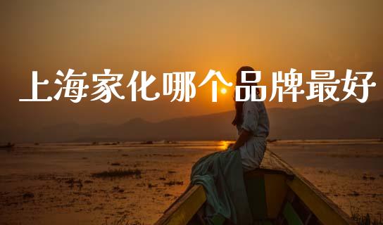 上海家化哪个品牌最好_https://www.kuaijiepai.net_投资理财_第1张
