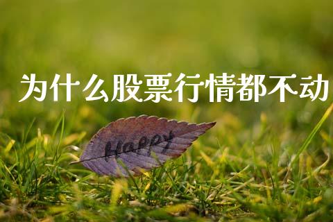 为什么股票行情都不动_https://www.kuaijiepai.net_新股新闻_第1张
