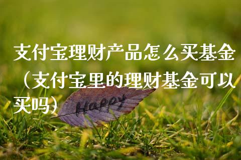 支付宝理财产品怎么买基金（支付宝里的理财基金可以买吗）_https://www.kuaijiepai.net_期货理财_第1张