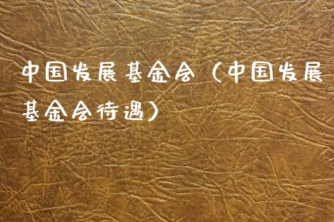 中国发展基金会（中国发展基金会待遇）_https://www.kuaijiepai.net_投资理财_第1张