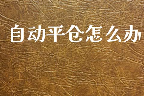 自动平仓怎么办_https://www.kuaijiepai.net_投资理财_第1张