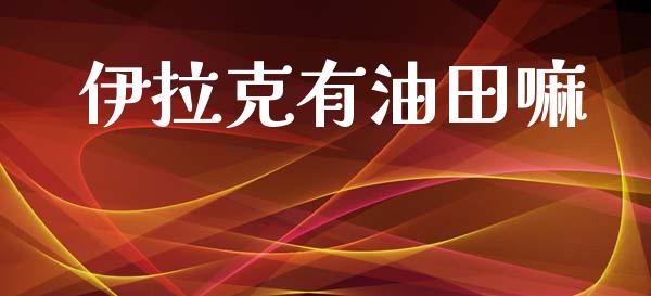 伊拉克有油田嘛_https://www.kuaijiepai.net_期货在线_第1张