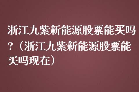 浙江九紫新能源股票能买吗?（浙江九紫新能源股票能买吗现在）_https://www.kuaijiepai.net_国际股建_第1张