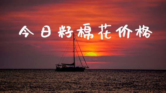 今日籽棉花价格_https://www.kuaijiepai.net_国际期货_第1张