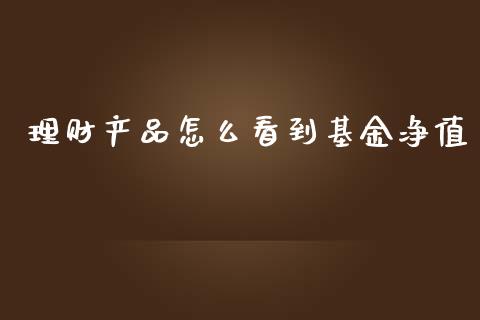 理财产品怎么看到基金净值_https://www.kuaijiepai.net_投资理财_第1张