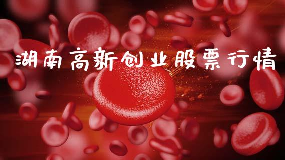 湖南高新创业股票行情_https://www.kuaijiepai.net_股票理论_第1张