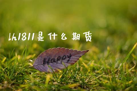 lh1811是什么期货_https://www.kuaijiepai.net_投资理财_第1张