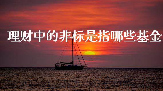 理财中的非标是指哪些基金_https://www.kuaijiepai.net_投资理财_第1张
