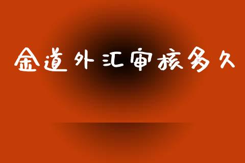 金道外汇审核多久_https://www.kuaijiepai.net_国际期货_第1张