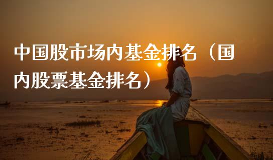 中国股市场内基金排名（国内股票基金排名）_https://www.kuaijiepai.net_投资理财_第1张