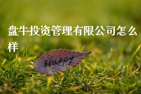 盘牛投资管理有限公司怎么样_https://www.kuaijiepai.net_国际股建_第1张