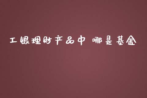 工银理财产品中 哪是基金_https://www.kuaijiepai.net_期货理财_第1张