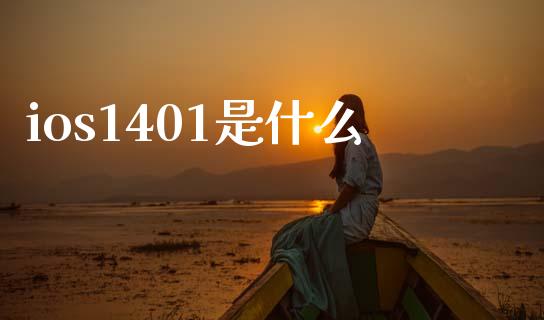 ios1401是什么_https://www.kuaijiepai.net_期货资讯_第1张