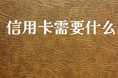 信用卡需要什么_https://www.kuaijiepai.net_投资理财_第1张