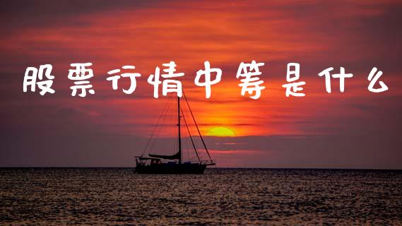 股票行情中筹是什么_https://www.kuaijiepai.net_新股新闻_第1张