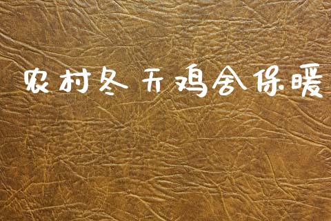 农村冬天鸡舍保暖_https://www.kuaijiepai.net_国际期货_第1张